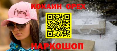крисы Севастополь