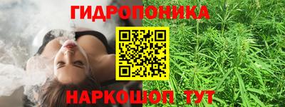 крисы Севастополь