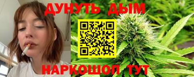крисы Севастополь