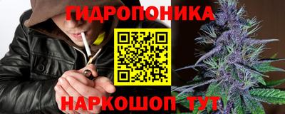 крисы Севастополь