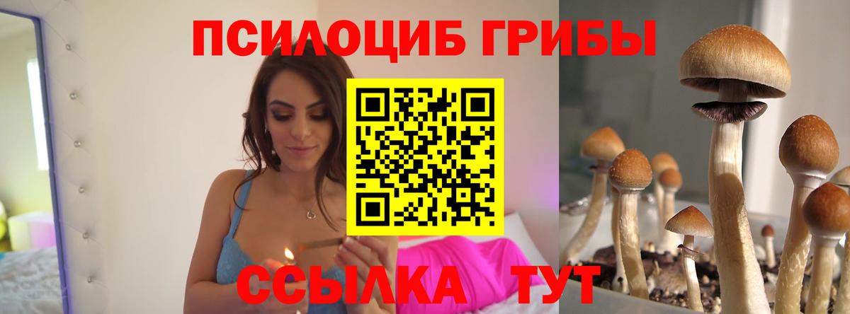 Псилоцибиновые грибы Psilocybine cubensis Острогожск
